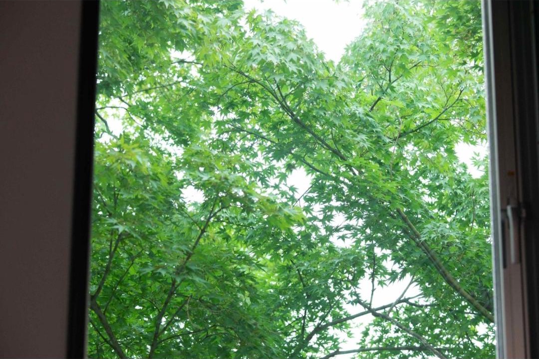 Photo of Others in Karuizawa