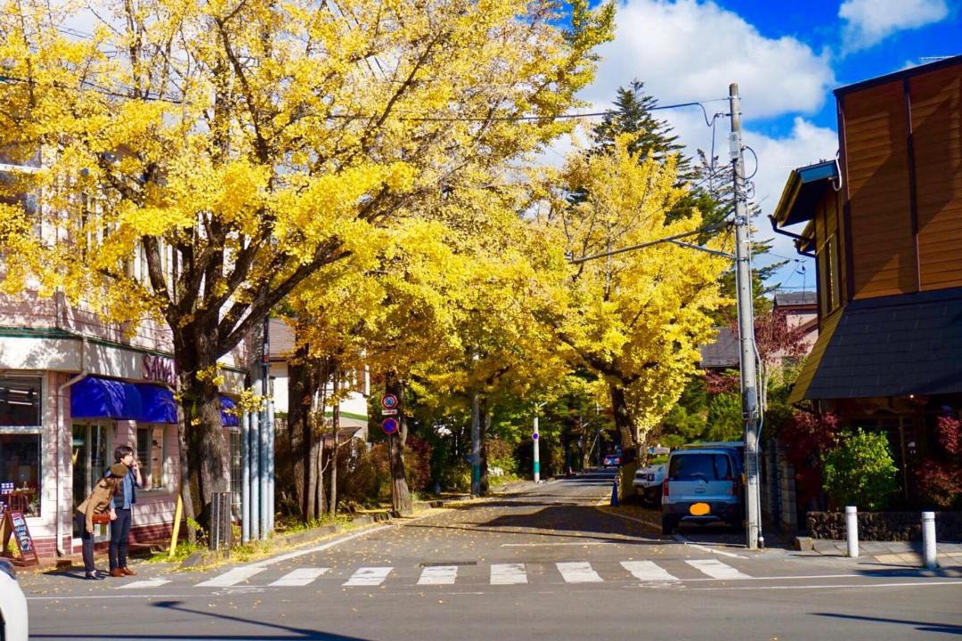 Photo of Others in Kyukaruizawa