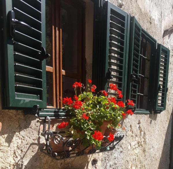 Photo of Others in Motrone