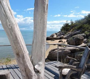 Driftwood Nob 
