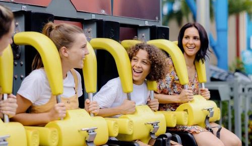 Premium Double Room + Entry to 3 Theme Parks + Twin Pack Wine