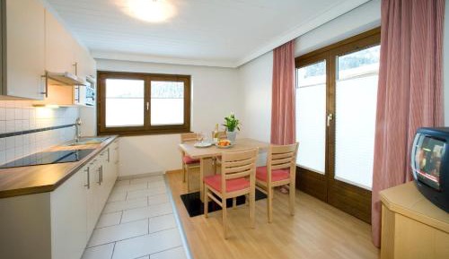 Two-Bedroom Apartment with Balcony and Mountain View 