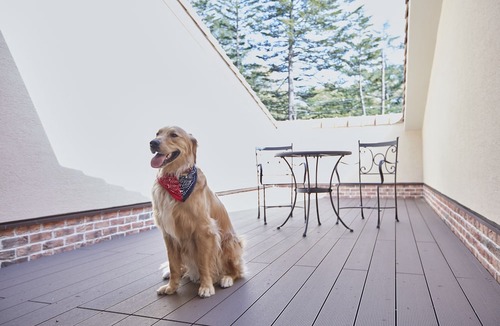 Kyukaruizawa Hotel | Le Chien Kyuu Karuizawa