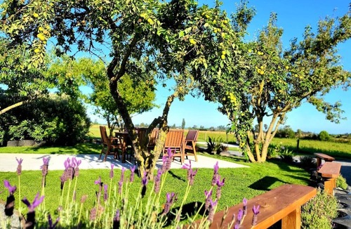 Kaikoura Cabin | Christmas 2024: 11 people, Hot Tubs, Spectacular Views, Plenty of Space to Play