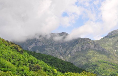 Pucara House | The moon and the Fox - Life in the countryside, trekking, the blue sea.