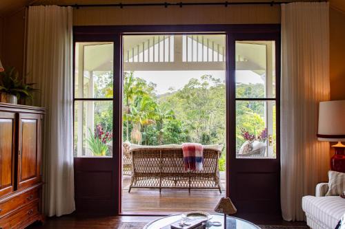 Nightcap Ridge - Byron Bay Hinterland